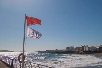 La playa de Melenara se llena de medusas (Foto Antonio Rico)